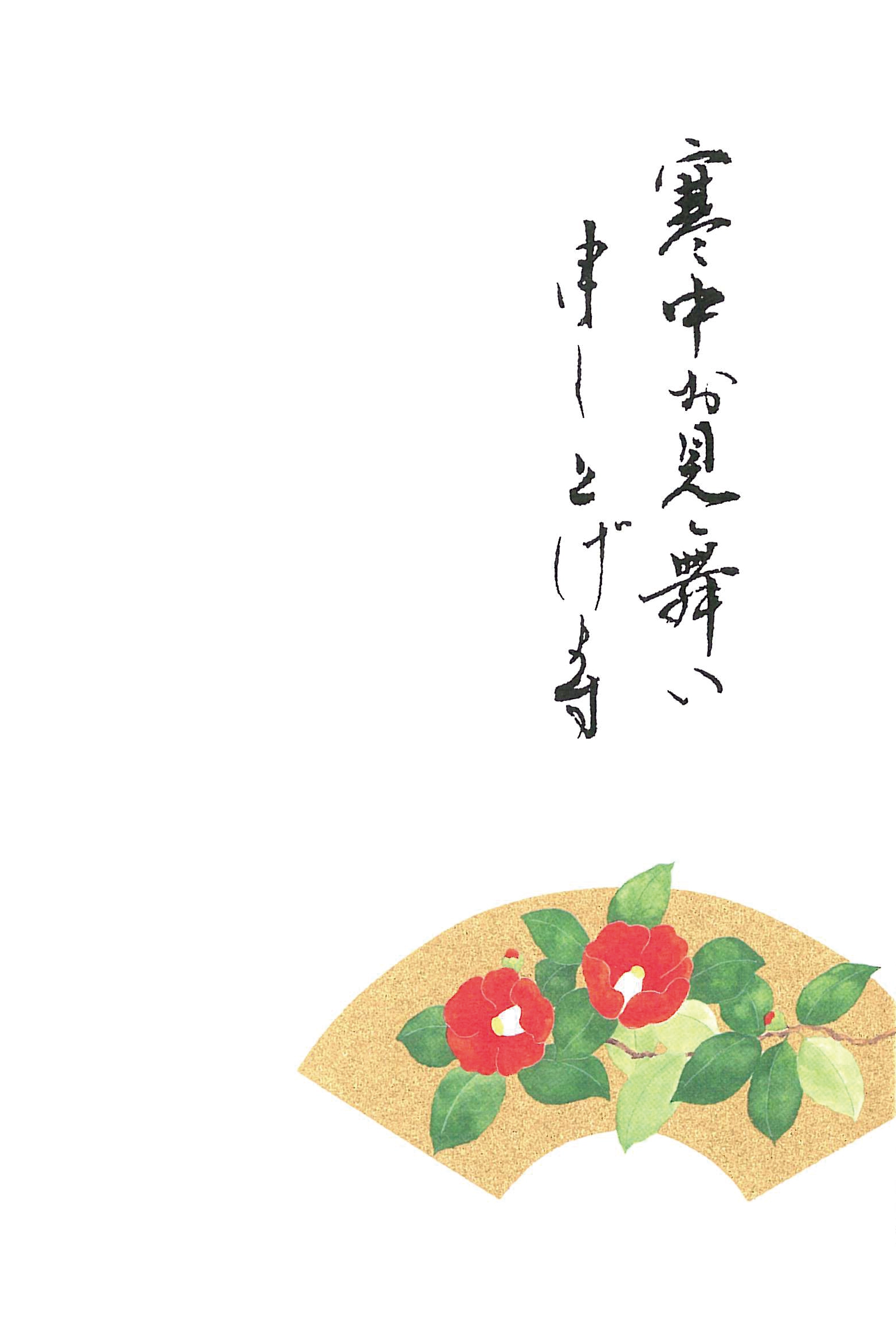 寒中見舞いはがき　椿