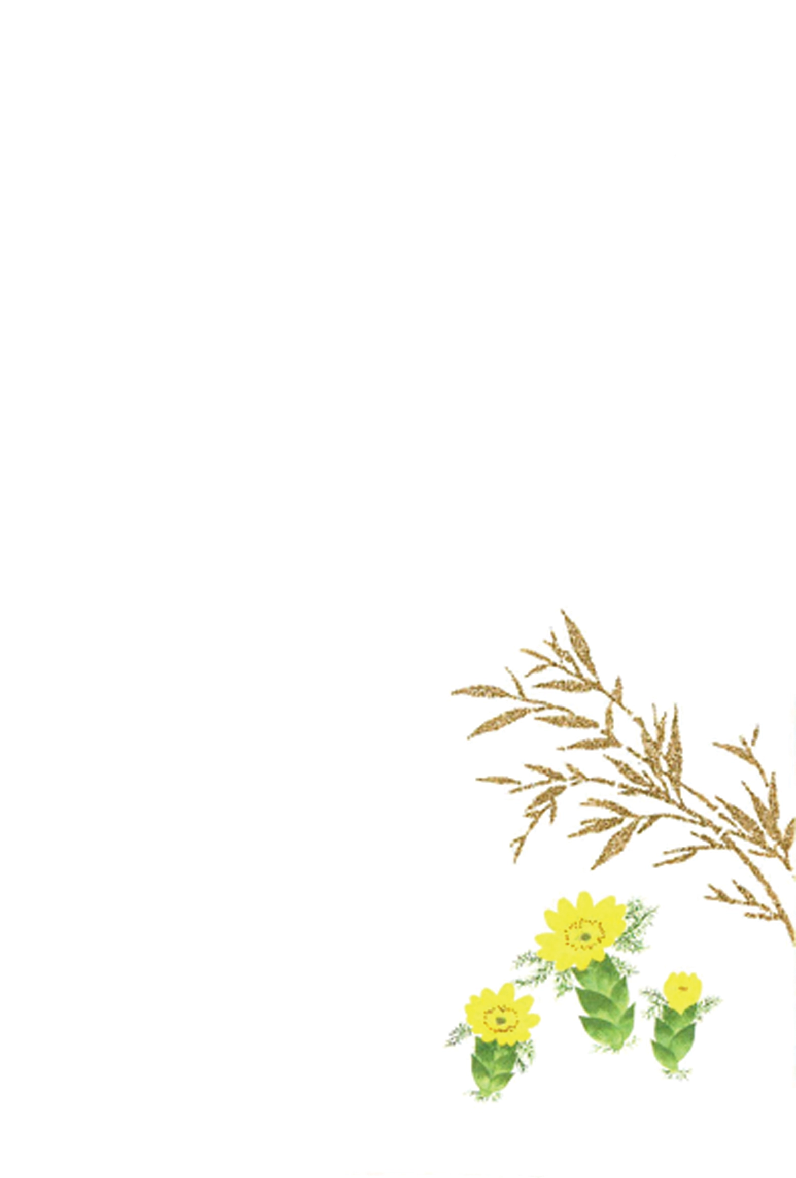 冬のはがき　福寿草