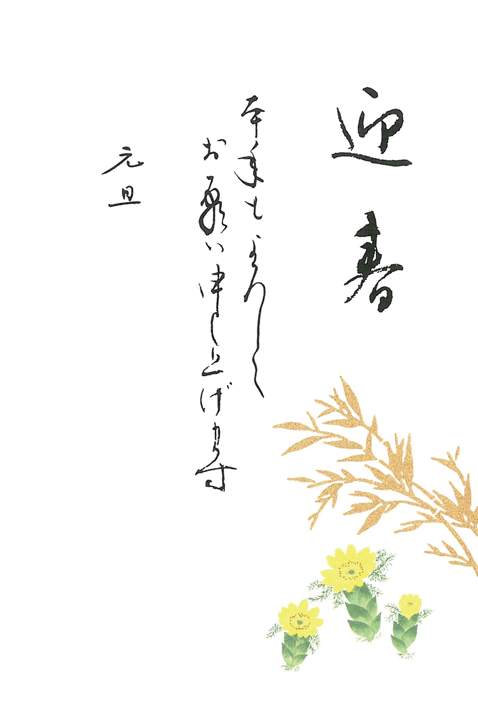 年賀状　福寿草