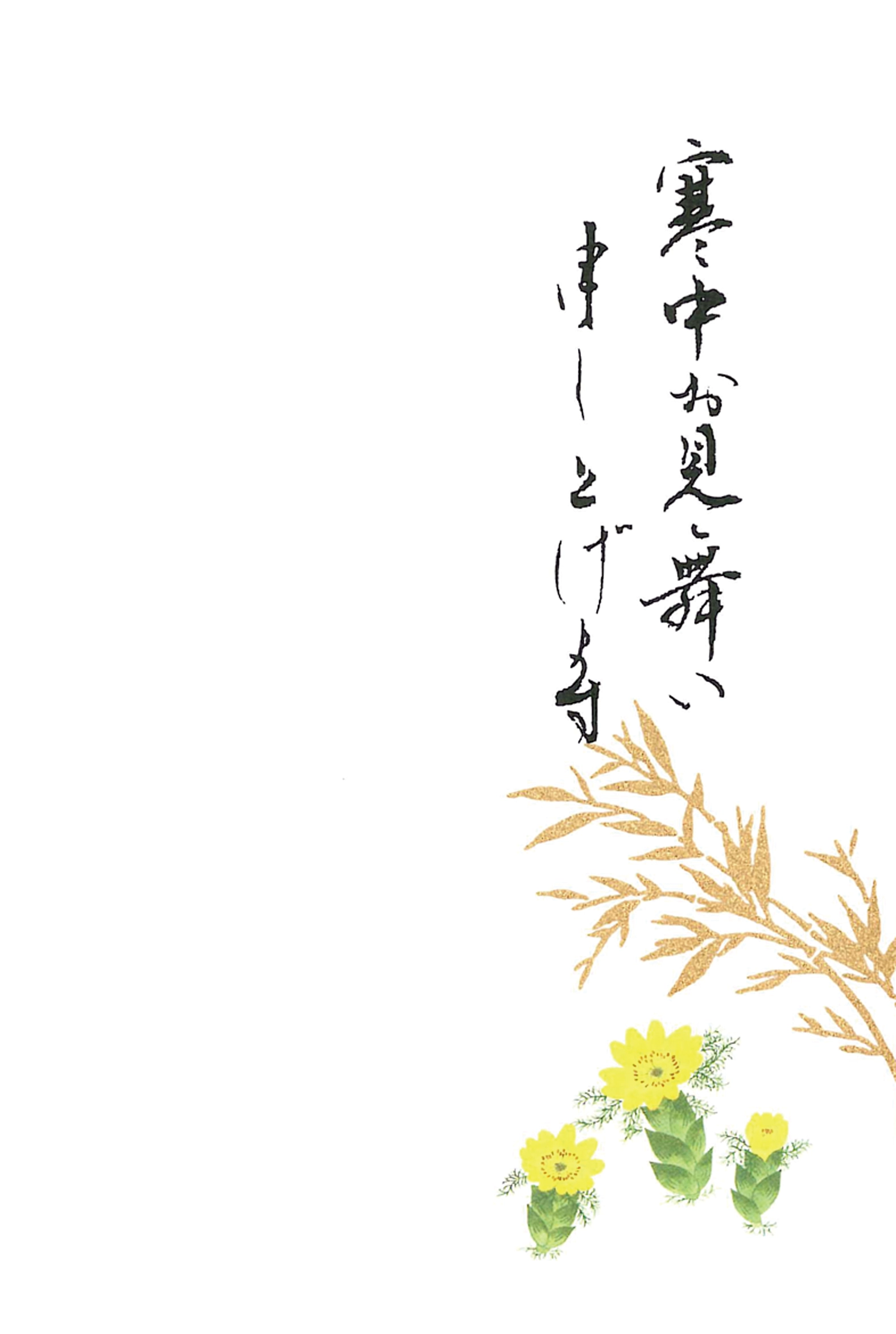 寒中見舞いはがき　福寿草