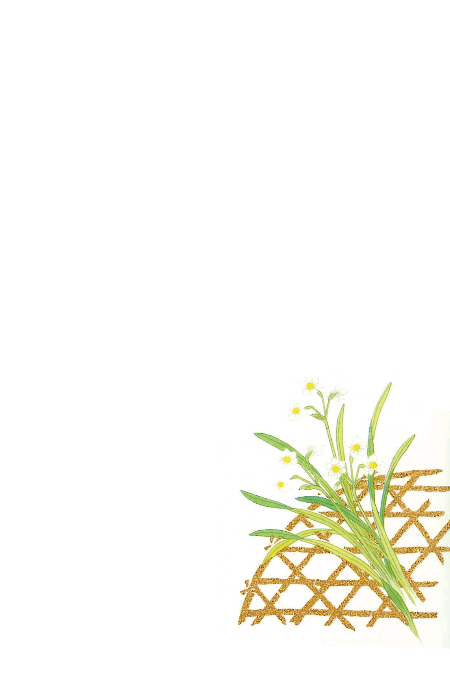 冬のはがき　水仙
