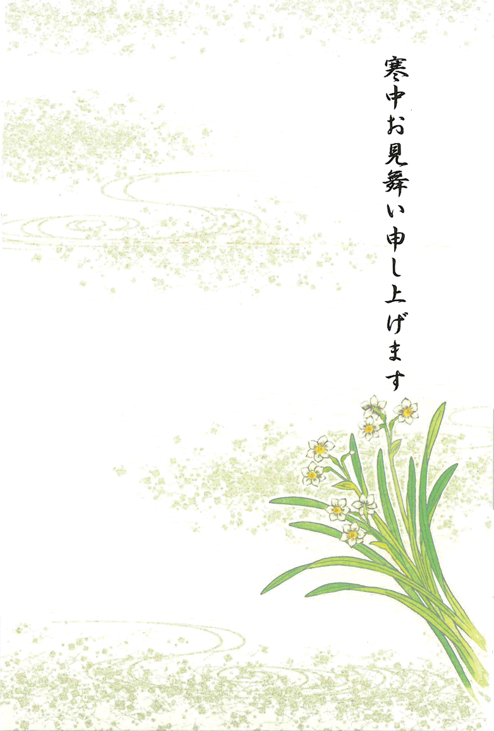 寒中見舞いはがき　白椿