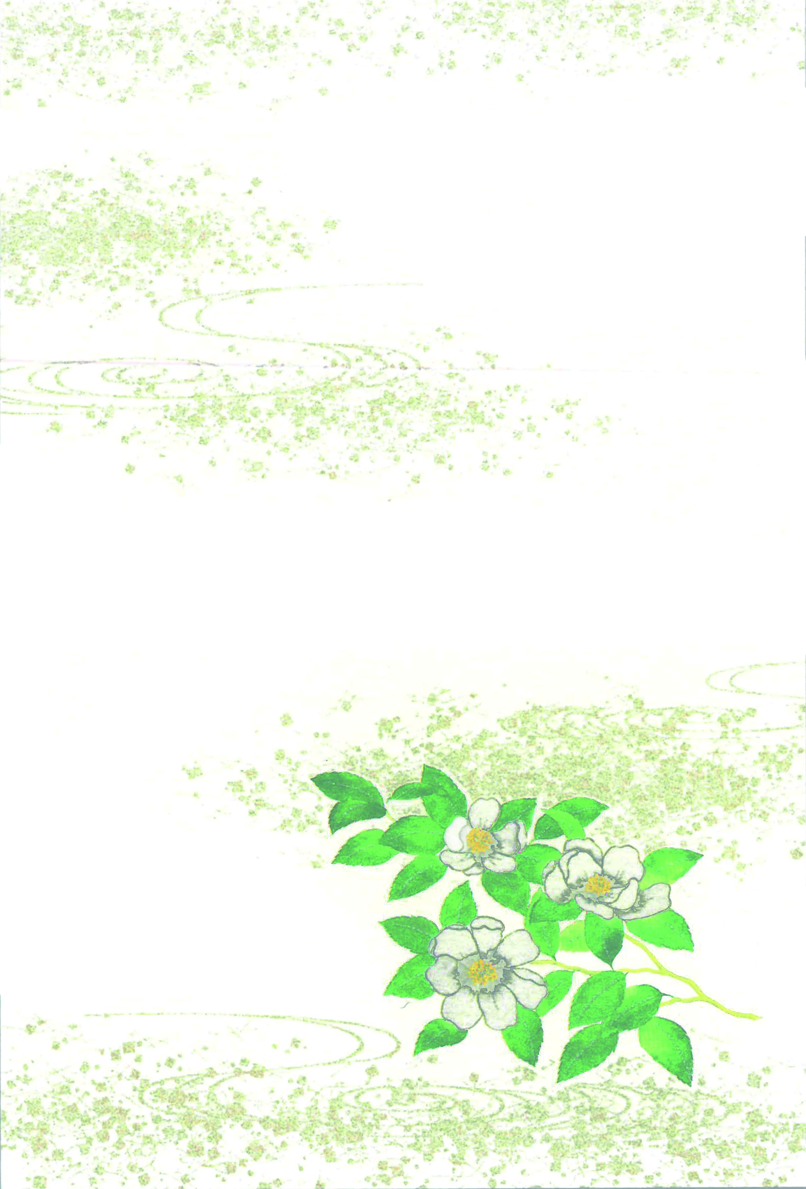 喪中はがき　さざんか