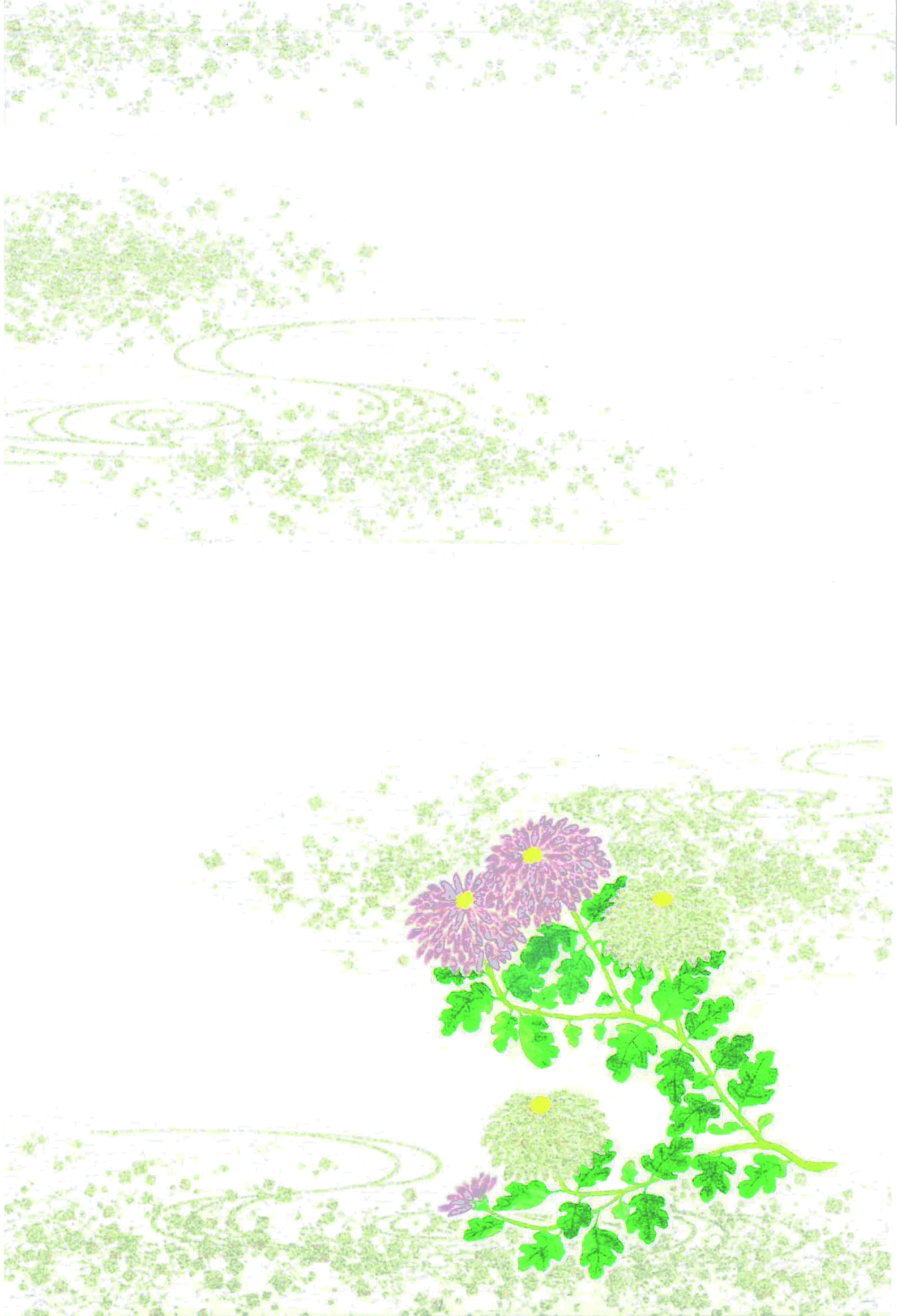 喪中はがき　菊