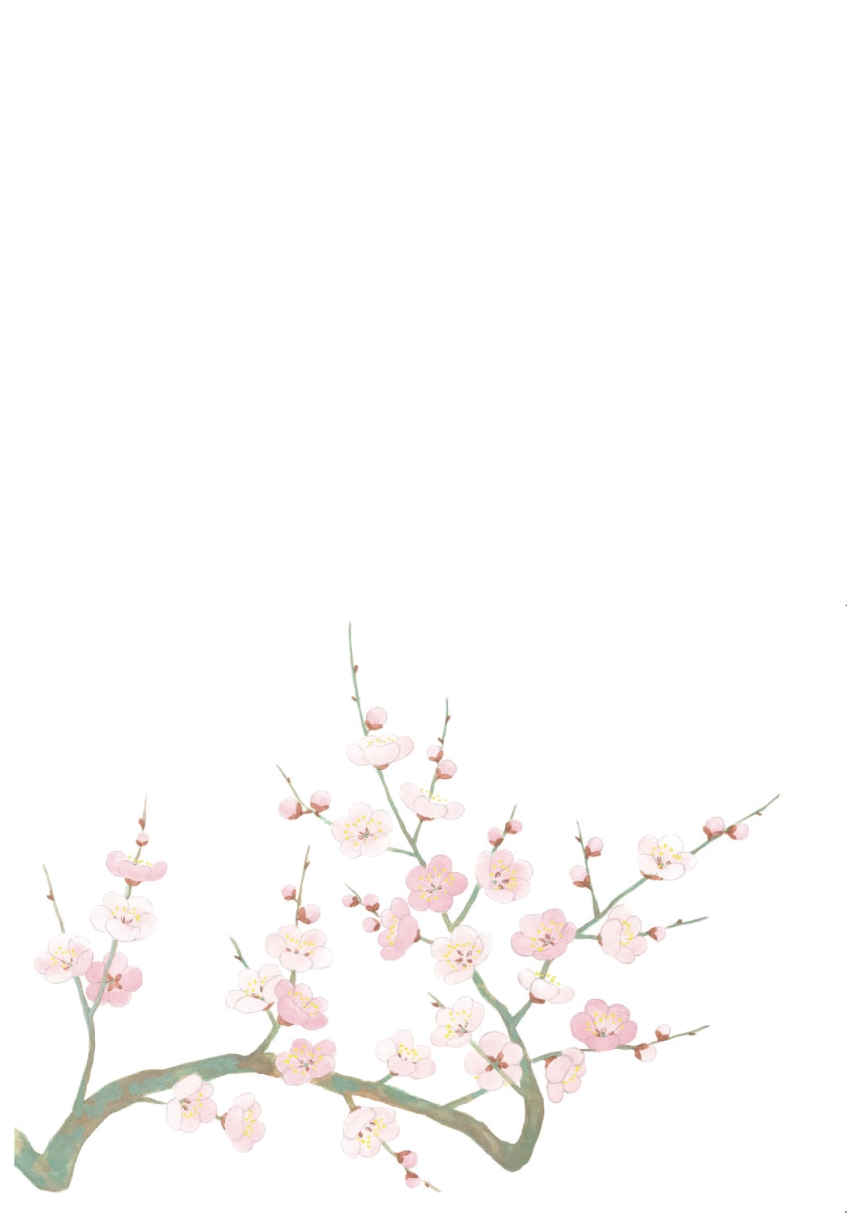 冬のはがき　梅