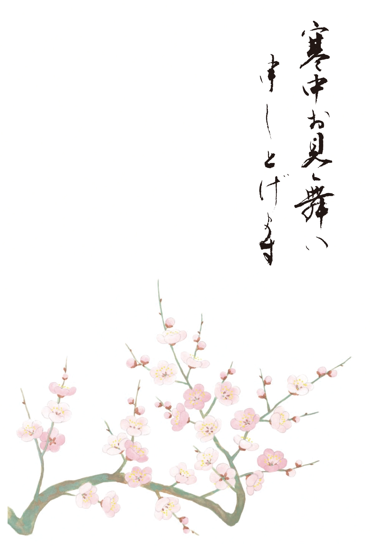 寒中見舞いはがき　梅