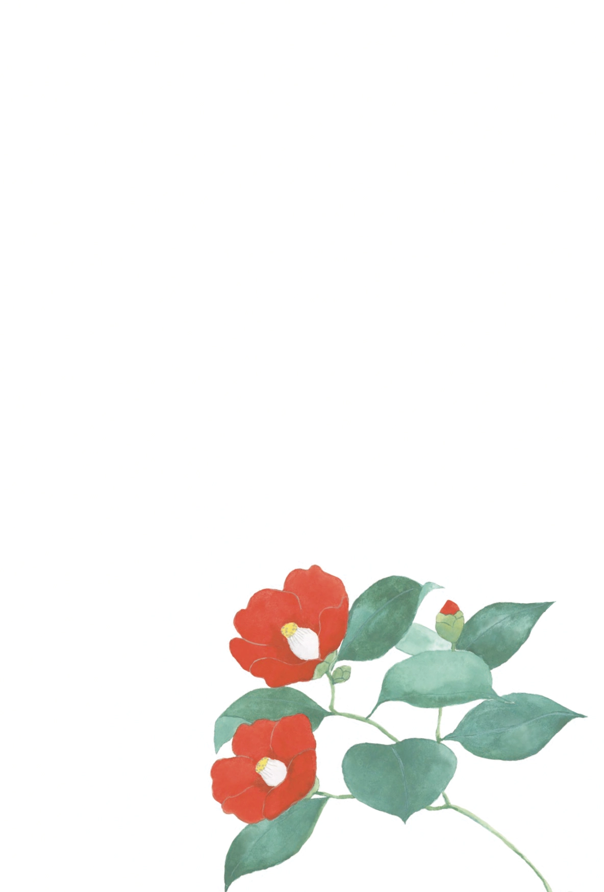 冬のはがき　椿