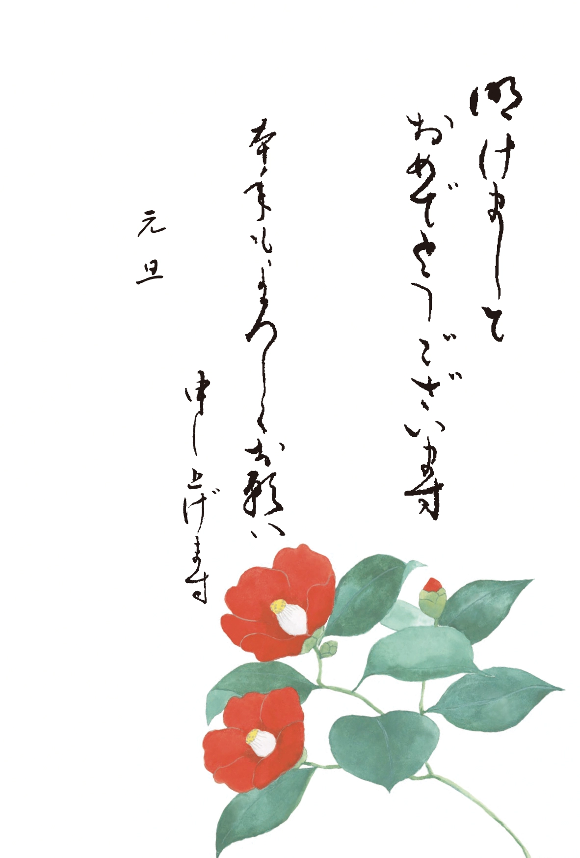 年賀状　椿
