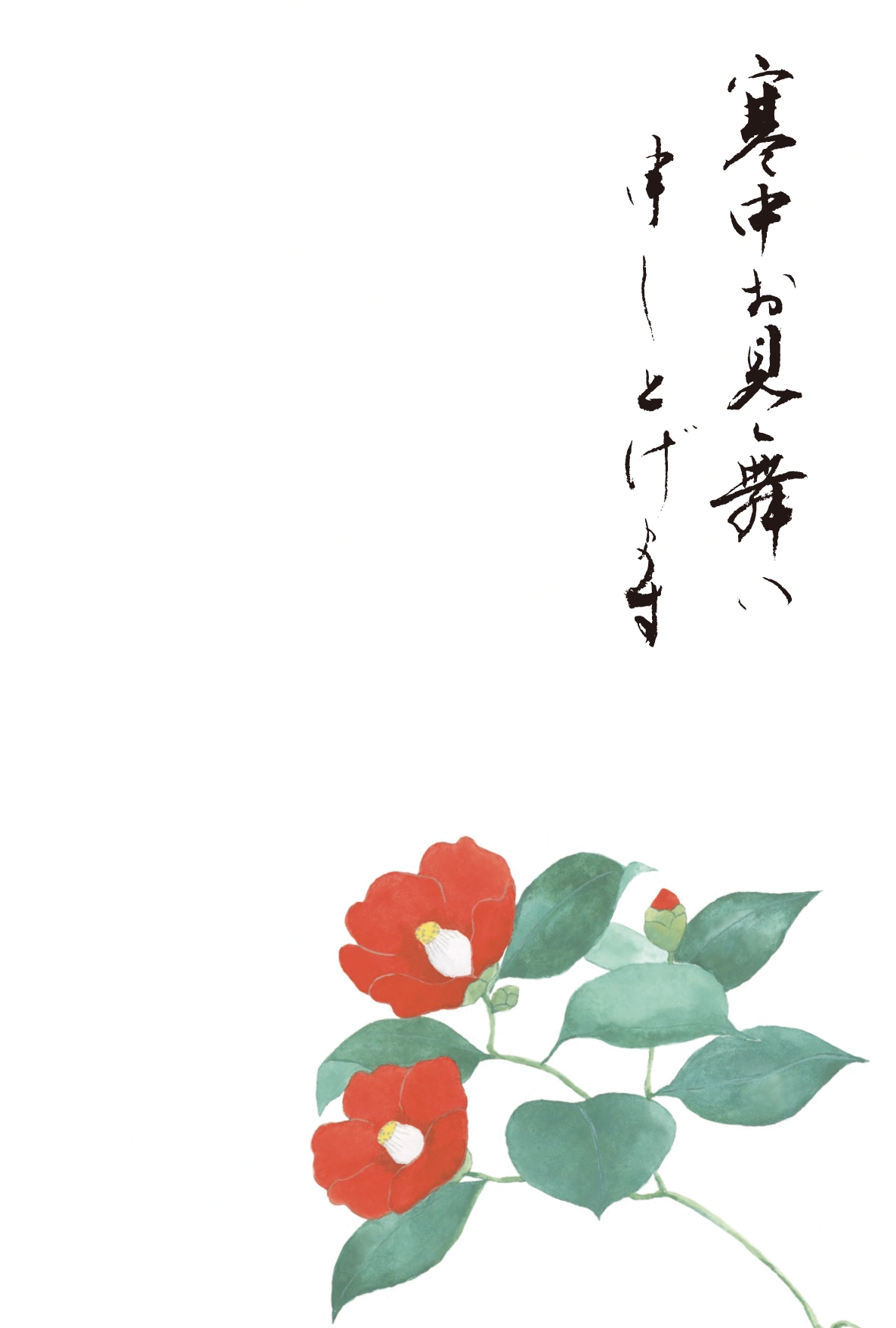寒中見舞いはがき　椿