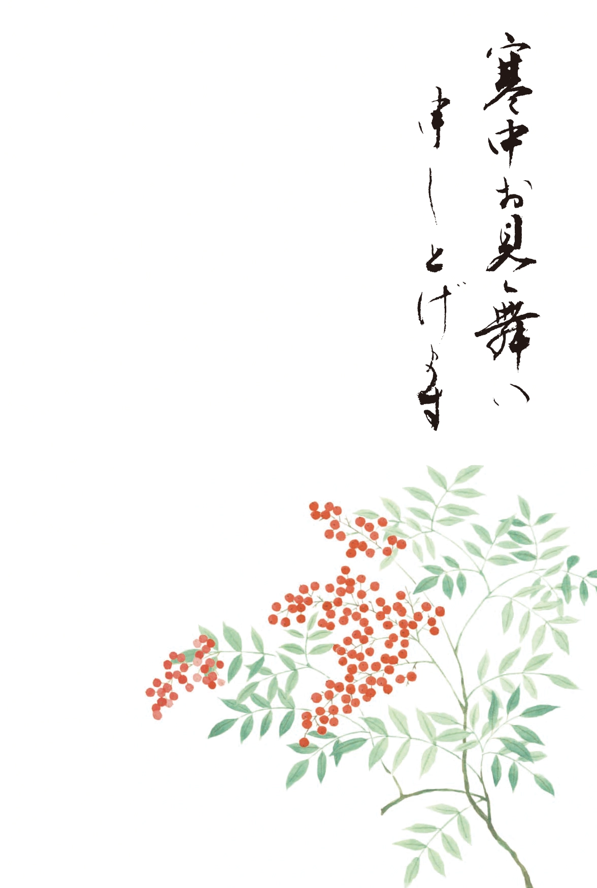寒中見舞いはがき　南天