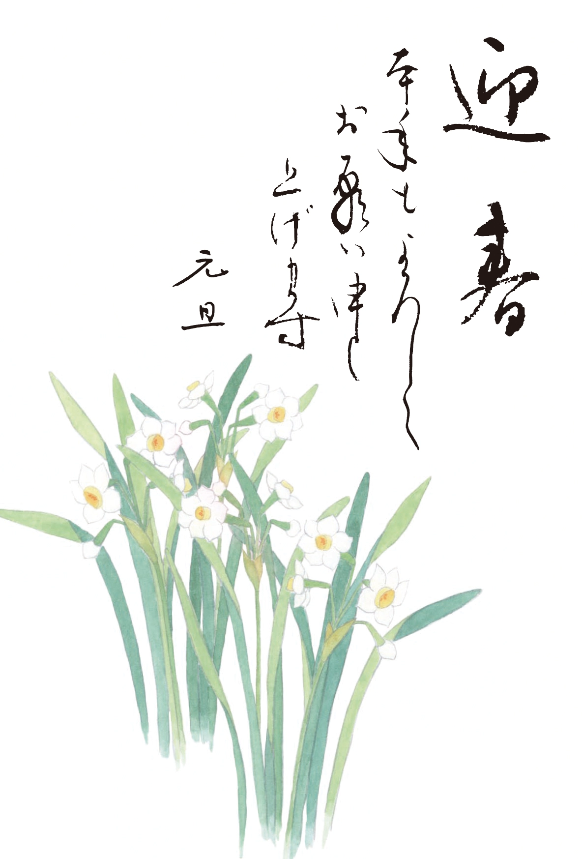 年賀状　水仙