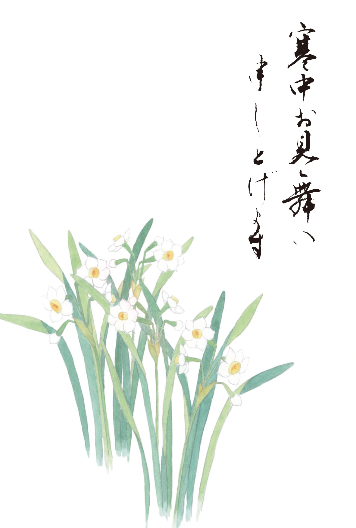 寒中見舞いはがき　水仙